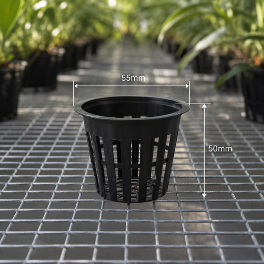 Orchid Net Pots 55mm Black showing diameter dimensions