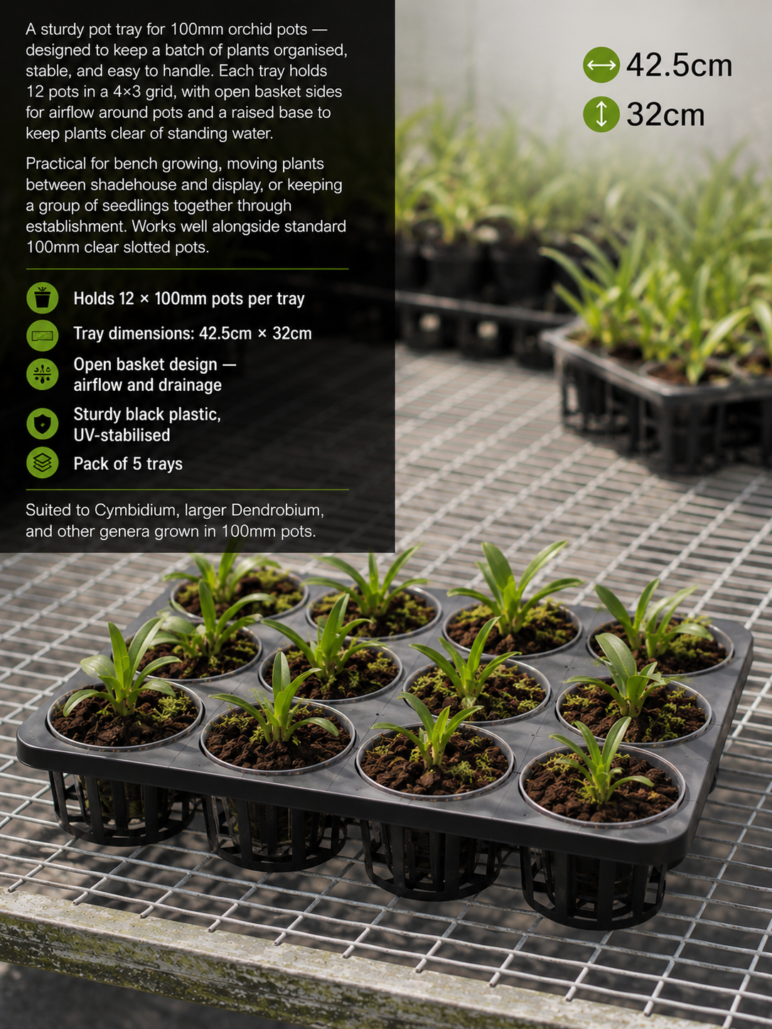 Orchid Pot Tray 100mm shown with orchid pots loaded in tray