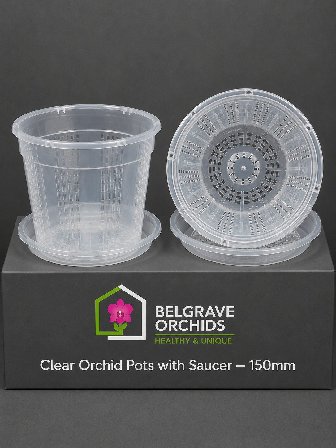 Clear Orchid Pots with Saucer — 150mm (Pack of 10)