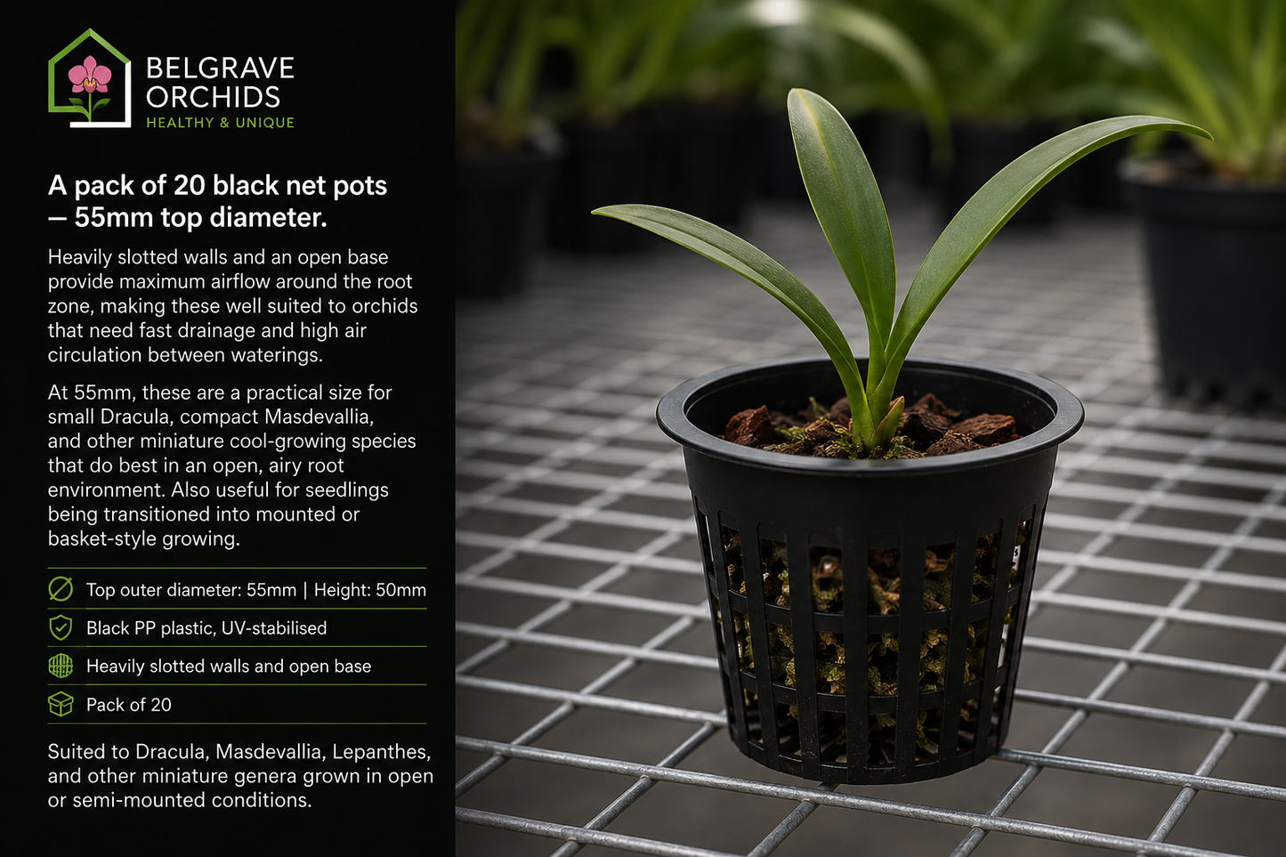 Orchid Net Pots — 55mm Black (20 Pack)
