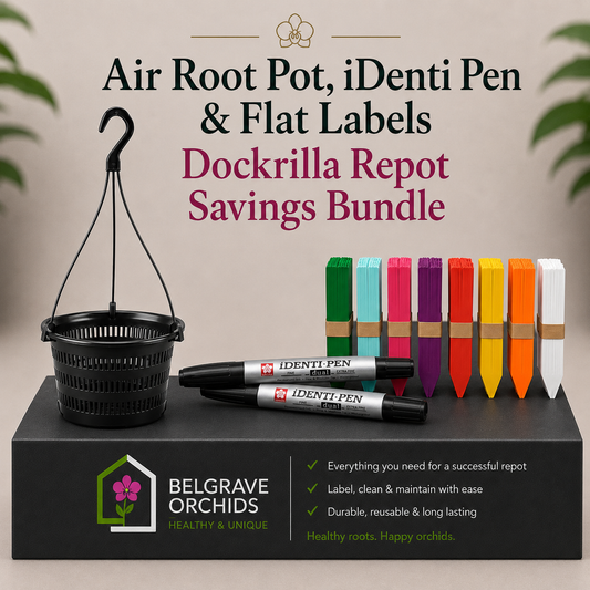 Dockrillia Repotting Pack — Hanging Mesh Pot 3pk + Labels x 20- + Pen x2