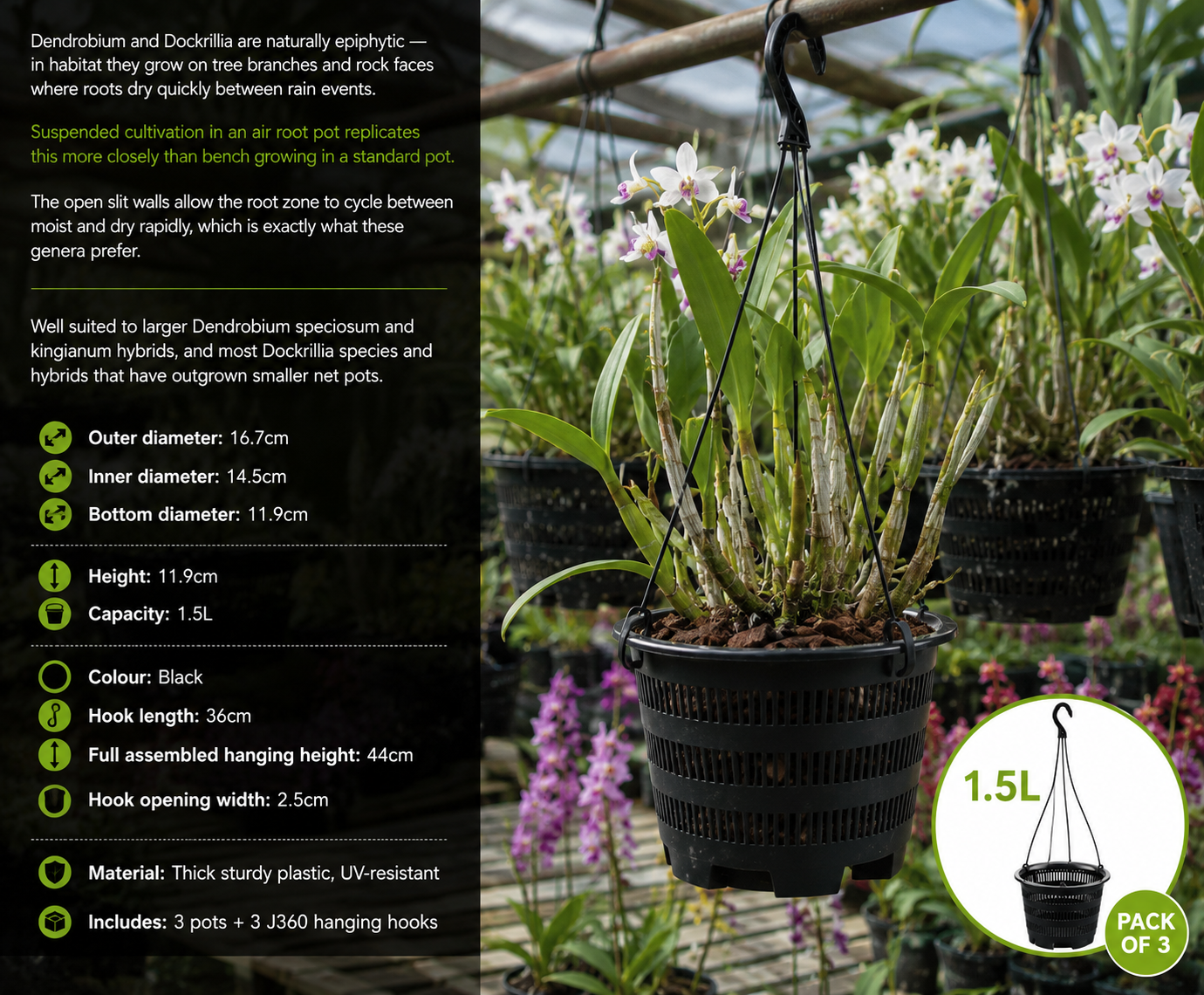 Air Root Net Pot with Hanging Hook shown displayed with orchid mounted