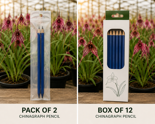 Chinagraph Pencil for Plant Labels showing pencil profile and high-pigment wax tip
