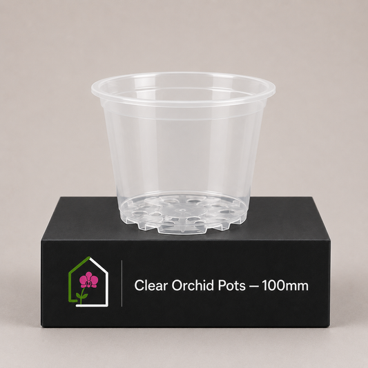 Clear Orchid Pots 100mm (no saucer) showing pot display