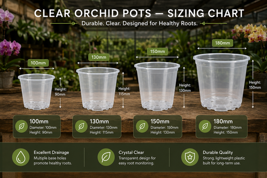 Clear Orchid Pots 100mm showing size dimensions