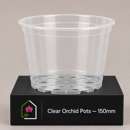 Clear Orchid Pots 150mm showing pot display