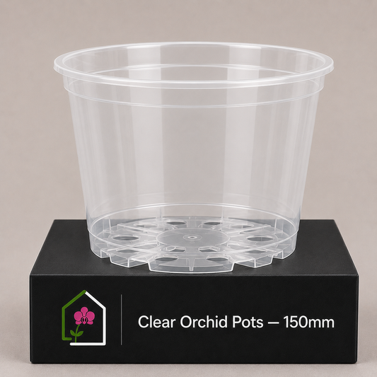 Clear Orchid Pots 150mm showing pot display