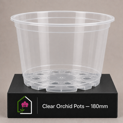 Clear Orchid Pots 180mm showing pot display