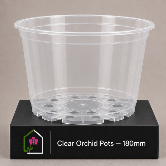 Clear Orchid Pots 180mm showing pot display