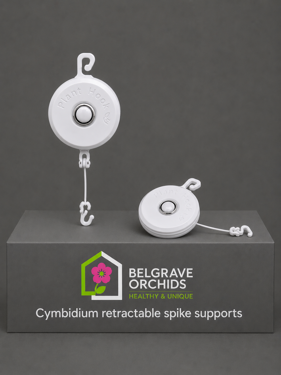 Cymbidium Yoyos pack shot showing retractable spike supports