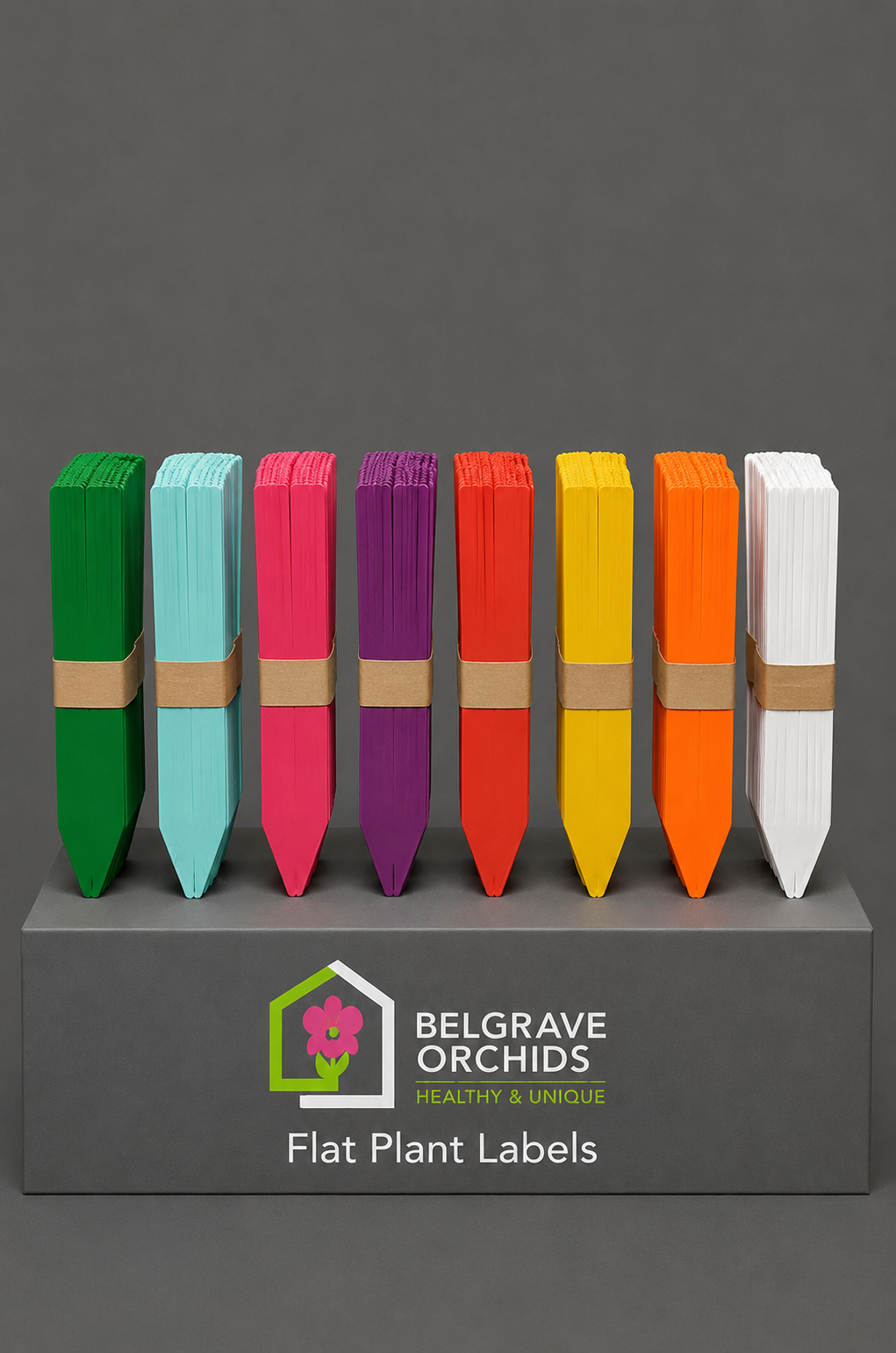 Flat Plant Labels 10cm pack shot showing colour options
