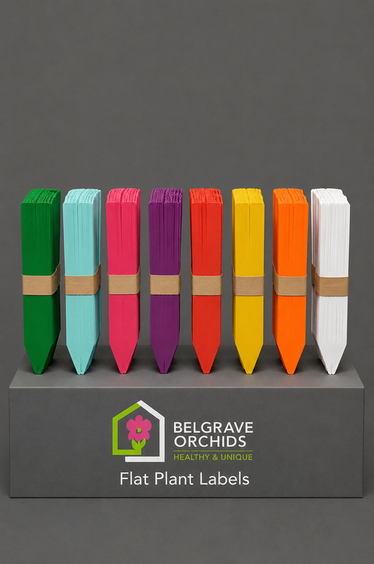 Flat Plant Labels 10cm pack shot showing colour options