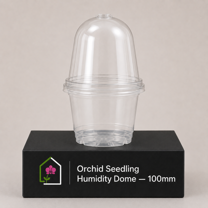 Orchid Seedling Humidity Dome 100mm showing dome display