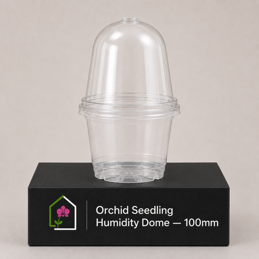 Orchid Seedling Humidity Dome 100mm showing dome display