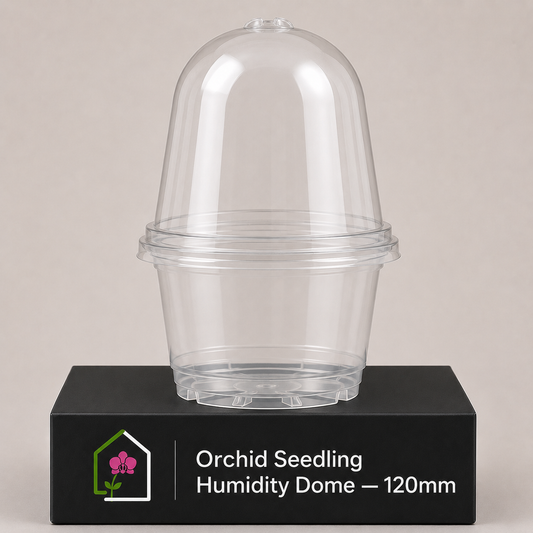 Orchid Seedling Humidity Dome 120mm showing dome display