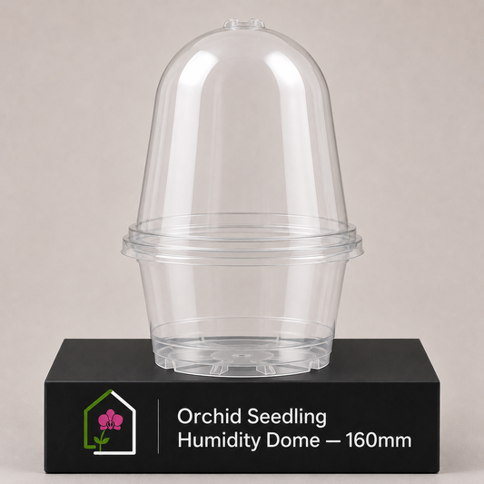 Orchid Seedling Humidity Dome 160mm showing dome display