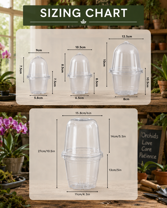 Orchid Seedling Humidity Dome 90mm showing size dimensions