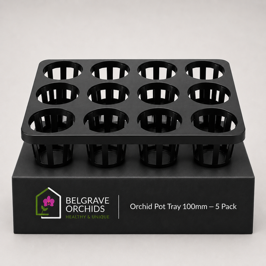 Orchid Pot Tray 100mm 5 Pack showing tray display