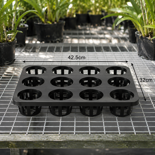 Orchid Pot Tray 100mm showing size dimensions