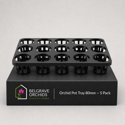 Orchid Pot Tray 80mm 5 Pack showing tray display