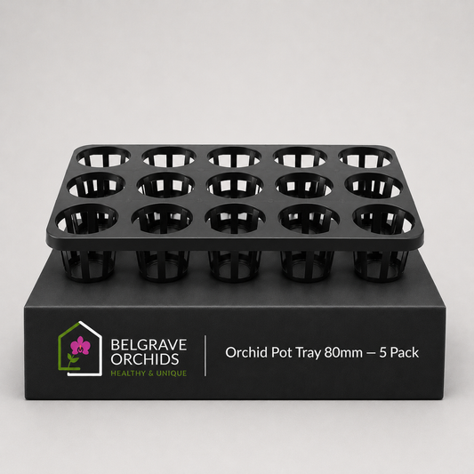 Orchid Pot Tray 80mm 5 Pack showing tray display