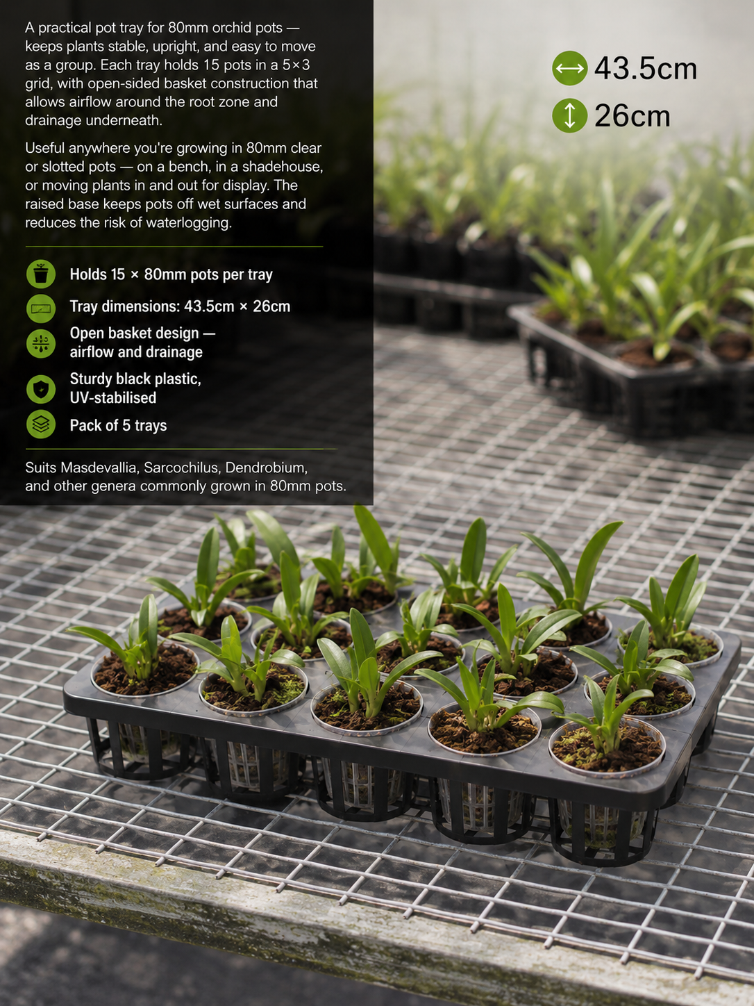 Orchid Pot Tray 80mm shown with orchid pots loaded in tray