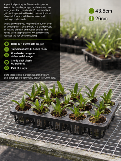 Orchid Pot Tray 80mm shown with orchid pots loaded in tray