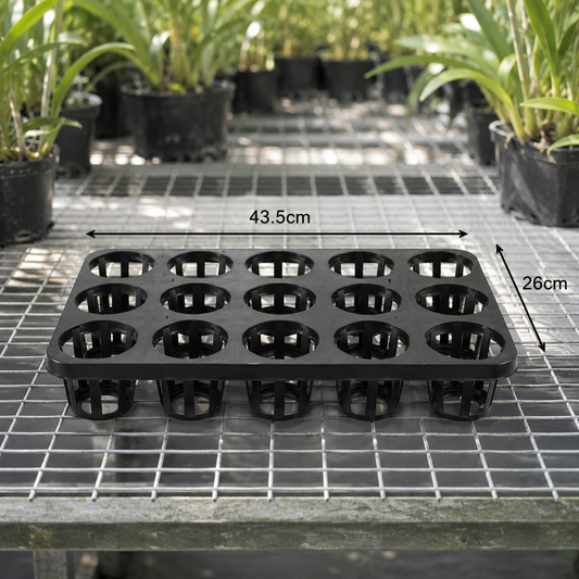 Orchid Pot Tray 80mm showing size and depth dimensions