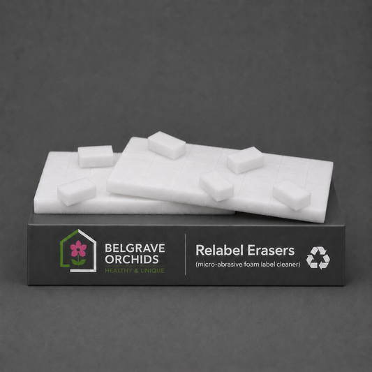 Relabel Erasers pack shot showing eraser quantity