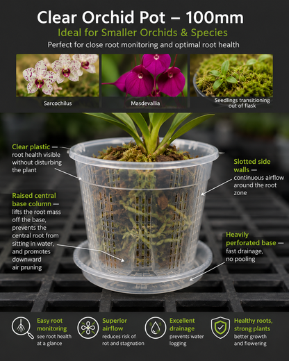 Clear Orchid Pots with Saucer 100mm shown with orchid in use