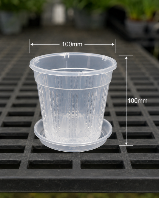 Clear Orchid Pots with Saucer 100mm showing size dimensions