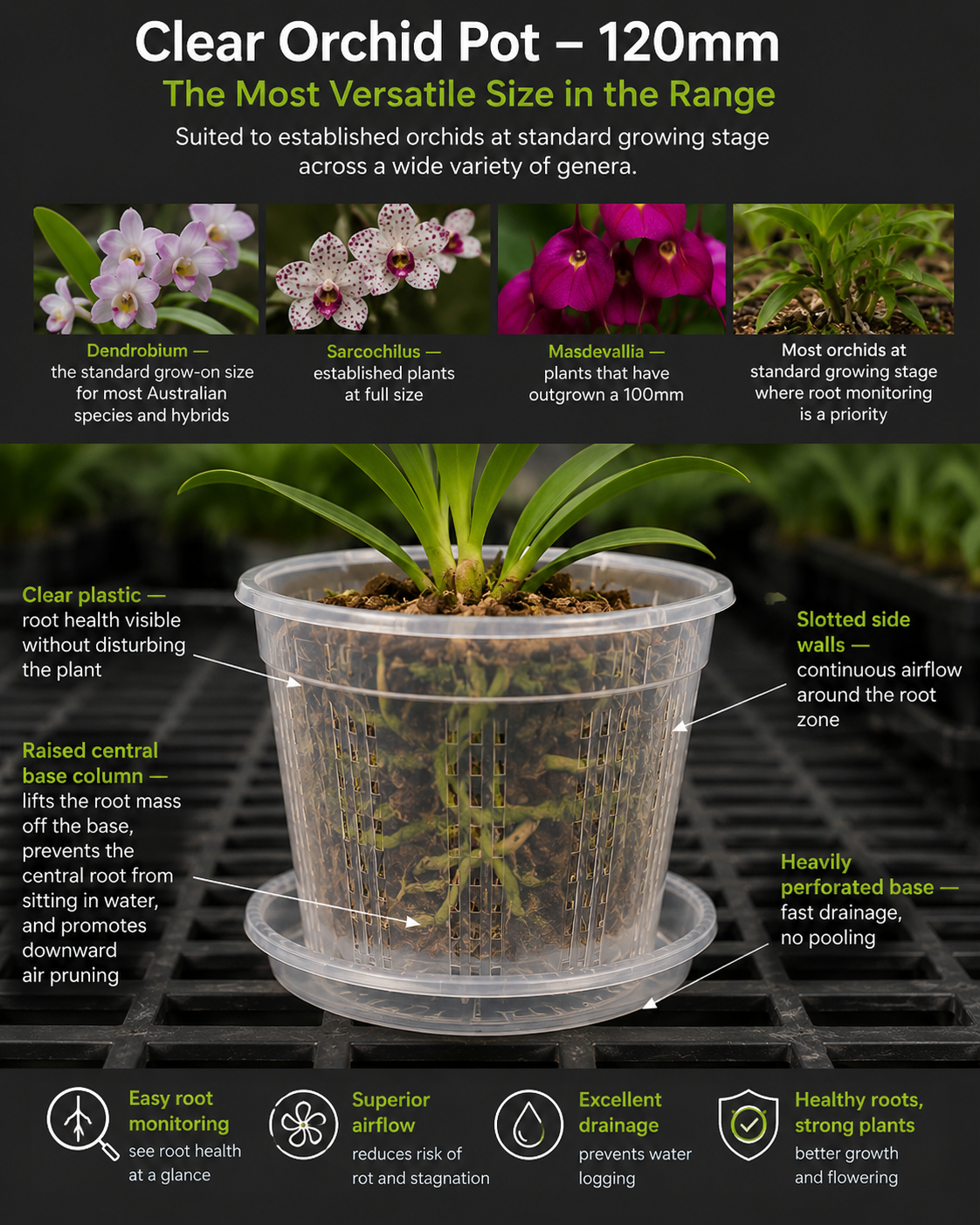 Clear Orchid Pots with Saucer 120mm shown with orchid in use