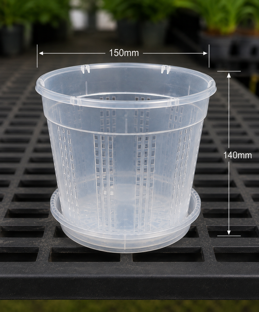 Clear Orchid Pots with Saucer 150mm showing size dimensions