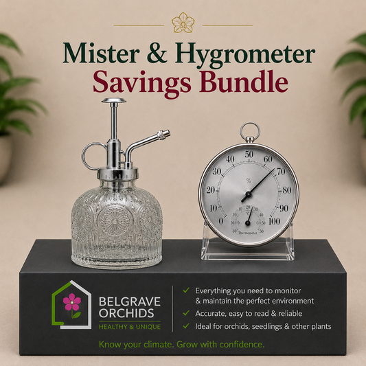 Humidity Care Kit — Vintage Glass Mister & Analog Hygrometer