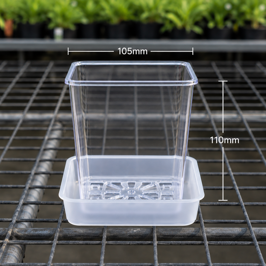 Square Clear Orchid Pot with Saucer 105mm showing size dimensions