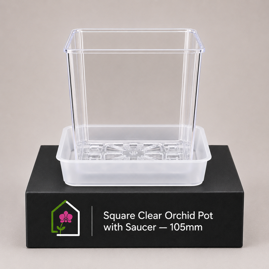 Square Clear Orchid Pot with Saucer 105mm showing pot display