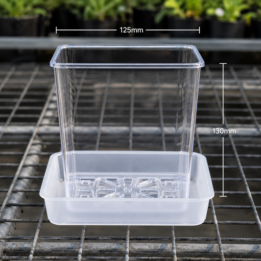 Square Clear Orchid Pot with Saucer 125mm showing size dimensions