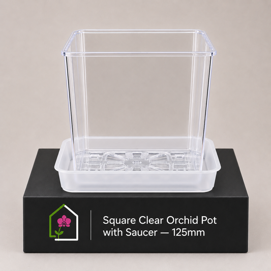 Square Clear Orchid Pot with Saucer 125mm showing pot display
