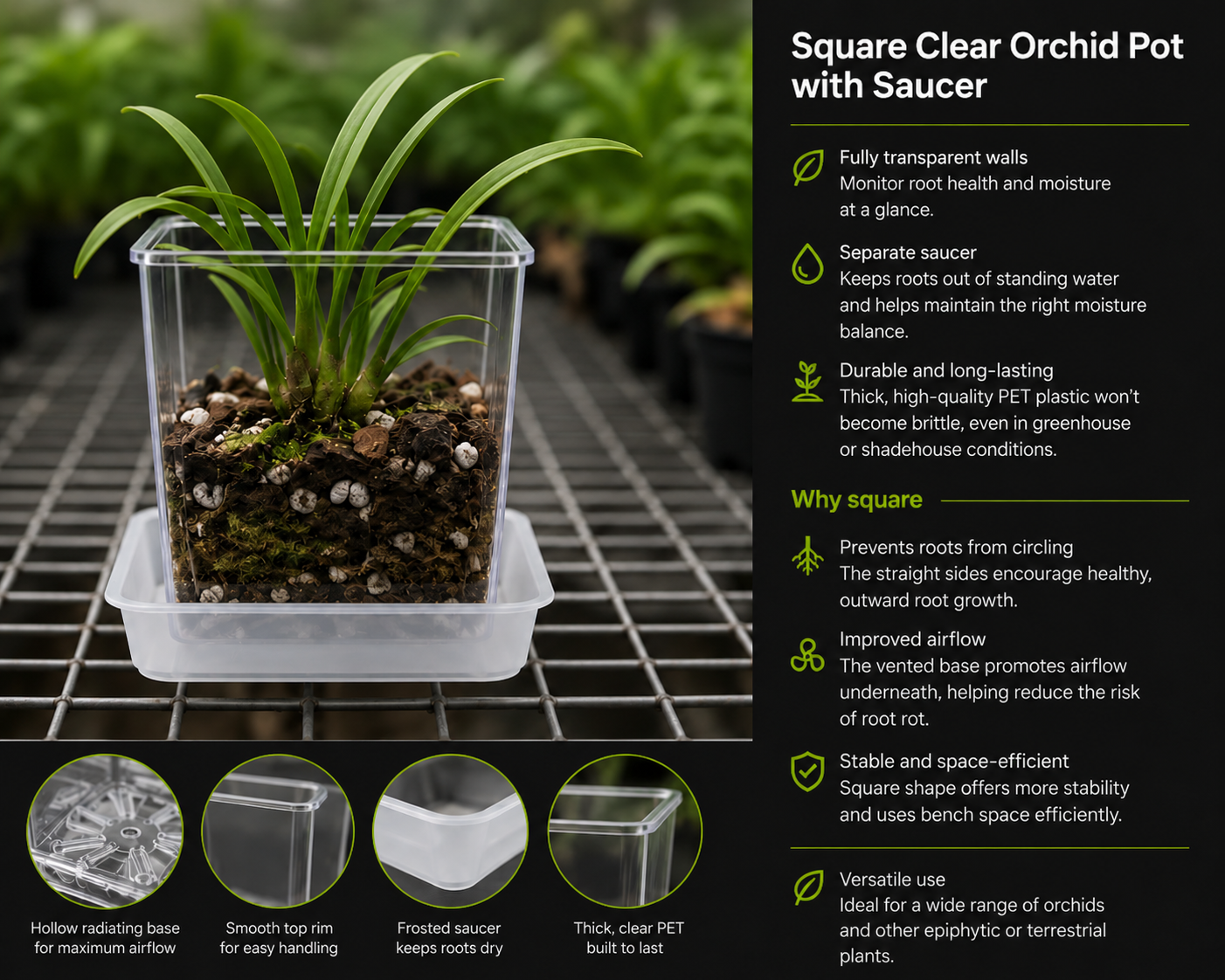 Square Clear Orchid Pot with Saucer 125mm shown with orchid growing