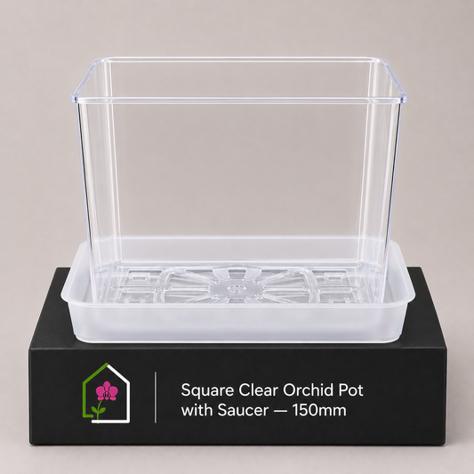 Square Clear Orchid Pot with Saucer 150mm showing pot display