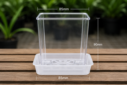 Square Clear Orchid Pot with Saucer 85mm showing size dimensions