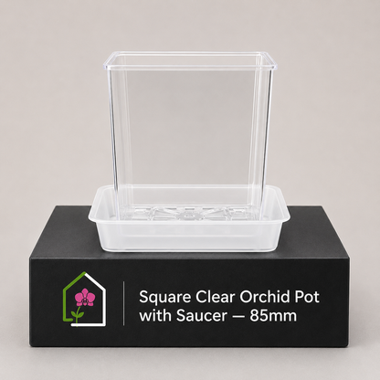 Square Clear Orchid Pot with Saucer 85mm showing pot display