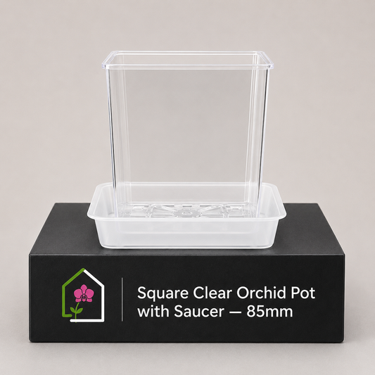 Square Clear Orchid Pot with Saucer 85mm showing pot display
