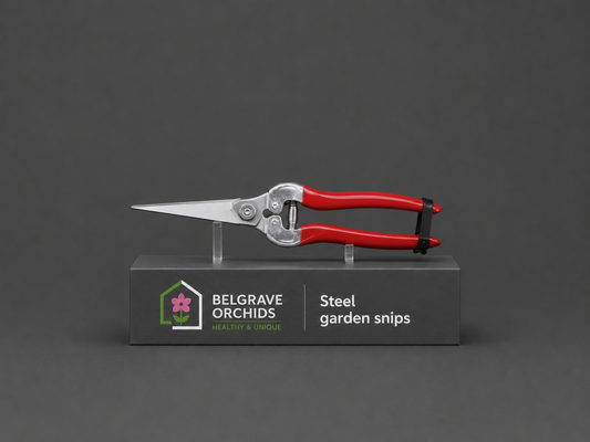 Stainless Steel Orchid Snips showing pointed tip and overall form