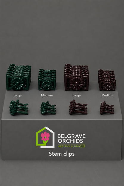 Orchid Stem Clips Green and Brown pack shot showing colour options and quantity