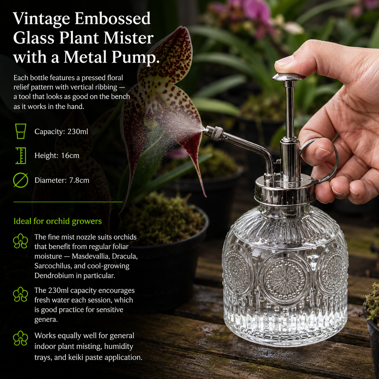 Vintage Glass Plant Mister in use spraying orchid foliage