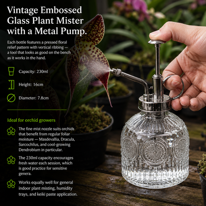 Vintage Glass Plant Mister in use spraying orchid foliage