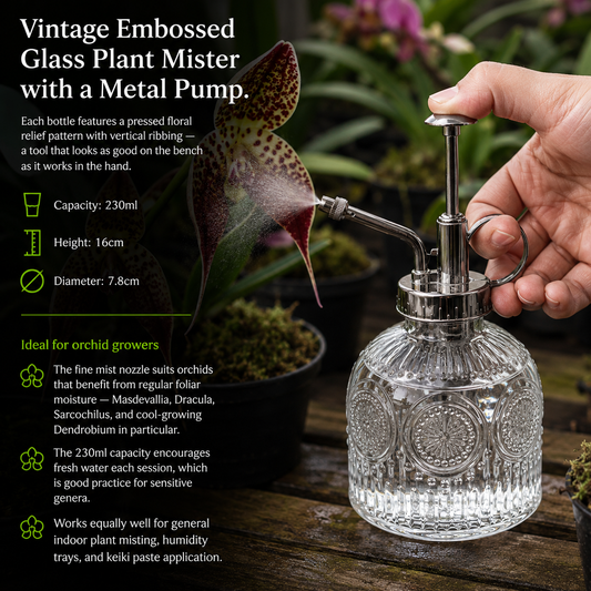 Vintage Glass Plant Mister in use spraying orchid foliage